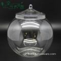 Glass Jar Terrarium With Wooden Lid